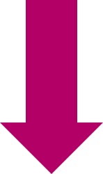 fleche actu
