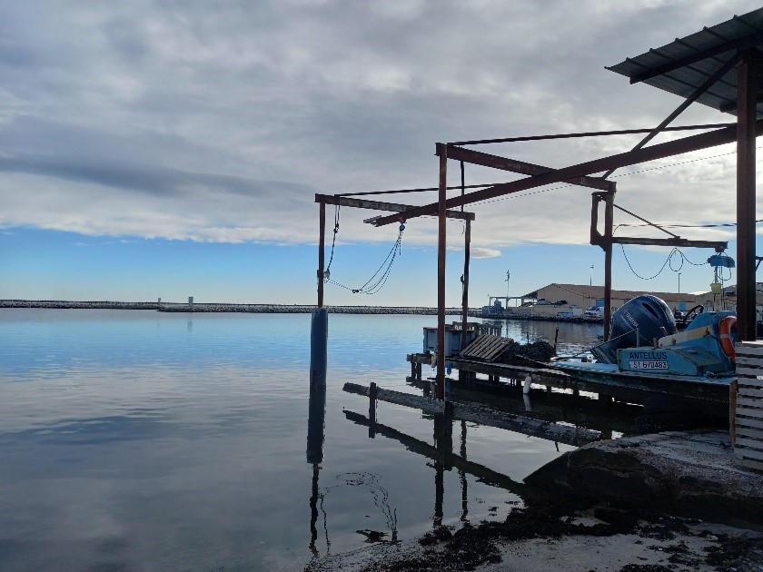 mceclip4 2026 01 16 15 42 52 955