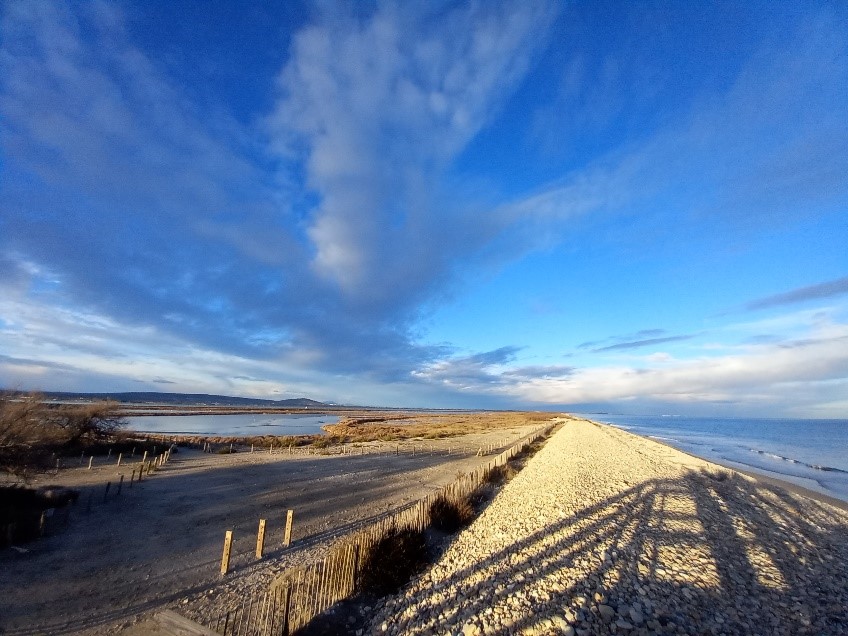 mceclip5 2026 01 16 15 42 54 768