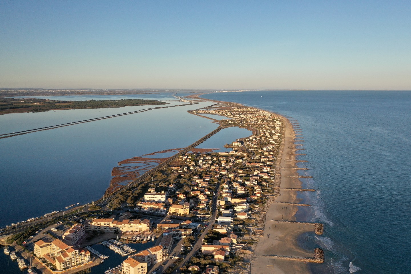 th 1440x1000 adobestock 480056121.jpeg