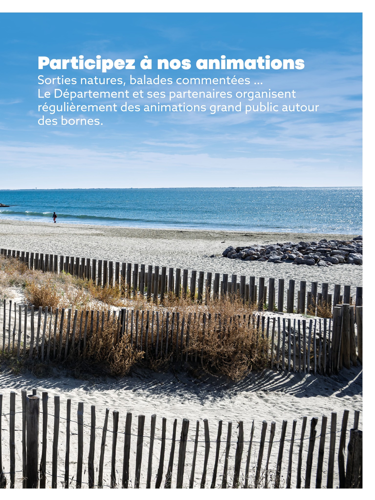 5 participez animations